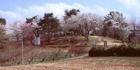 山頂公園遠景