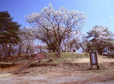 駐車場から山頂公園