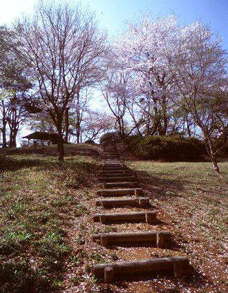 総合公園側からの登山道