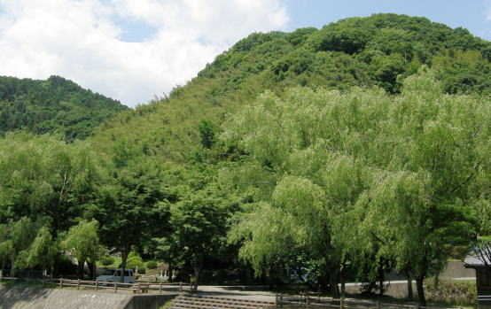 現在の長厳寺連石山