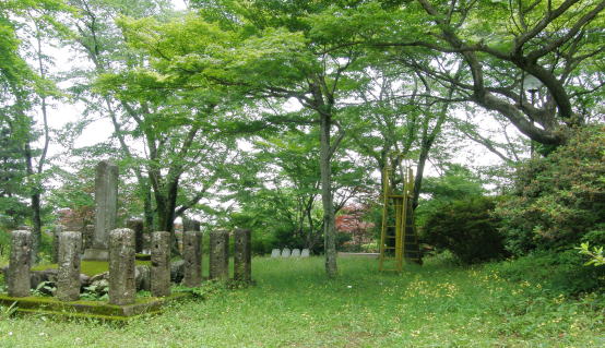現在の紅葉山